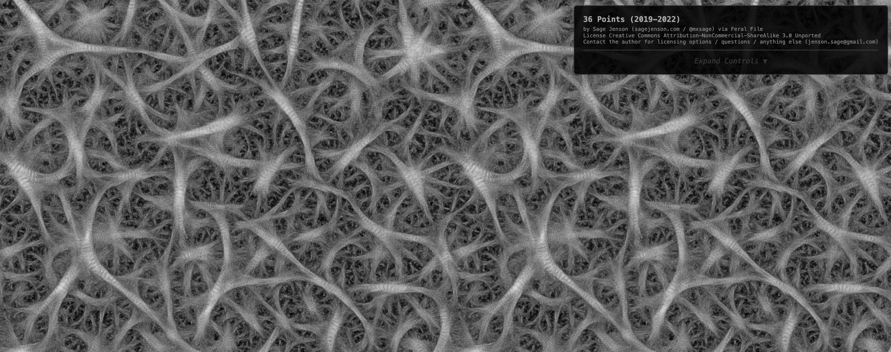 Sage Jenson's 36 Points GPU slime-mold simulation